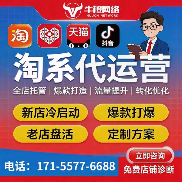 大同电商代运营