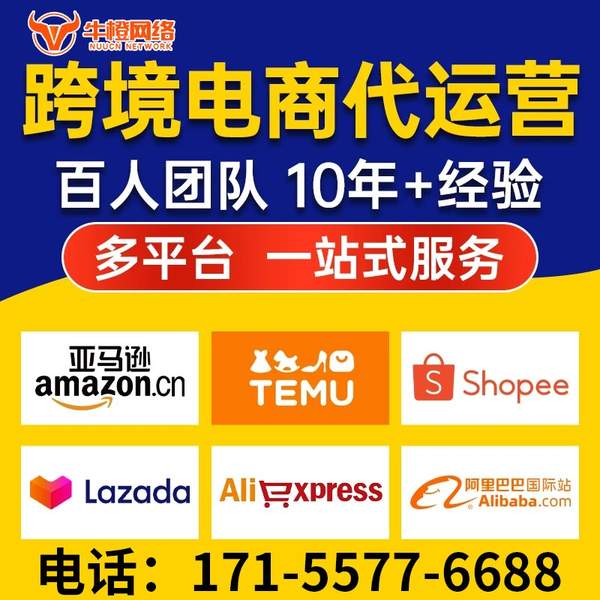大同电商代运营