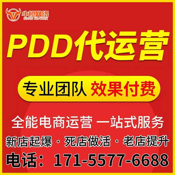 大同电商代运营