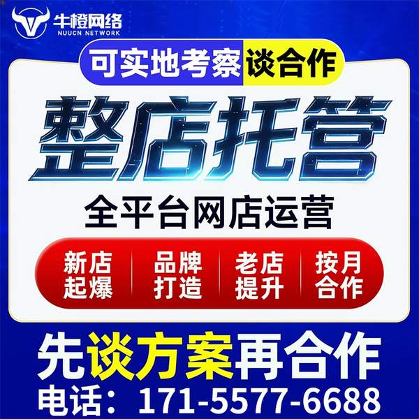 大同电商代运营