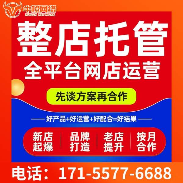 大同电商代运营
