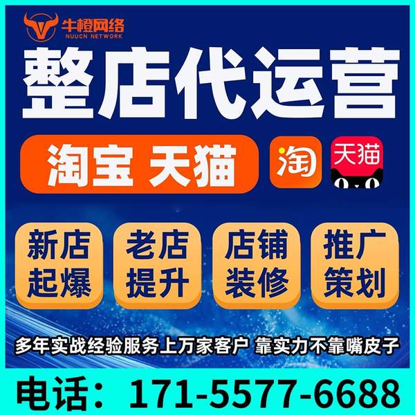 大同电商代运营