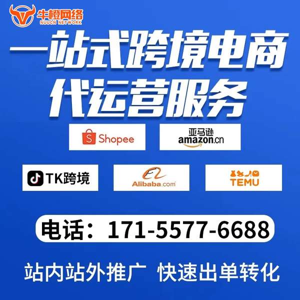 大同电商代运营