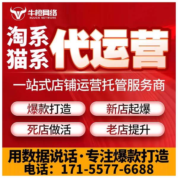大同电商代运营